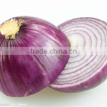 fresh red big onion (onoion)