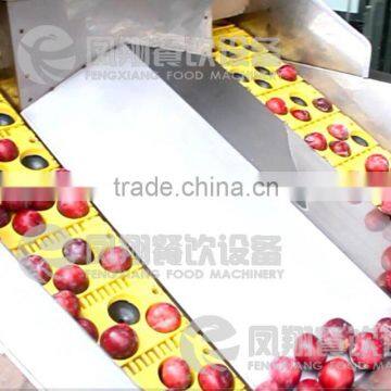 High Quality Plum Stoner, Plum Pitter, Plum Corer With CE Certificated photo-4