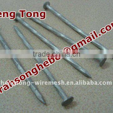 Decking Nails/Deck Screws Made in China