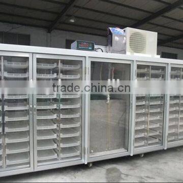 Automatidc Hydroponic Seeds Sprout Fodder Growing Machine photo-3