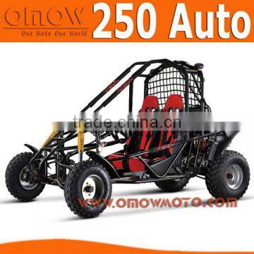 250cc Automatic Go Kart