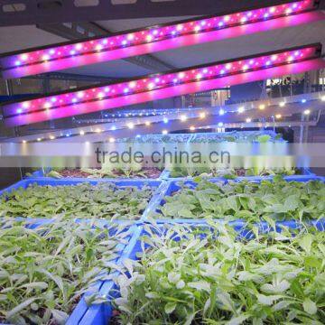 CE ETL Listed 60w IP65 Waterproof MarsHydro Led Grow Light Bar Strip Full Spectrum for Flower Vegetables photo-3