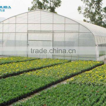 Plastic Film Covered Economic Tunnel Greenhouse For Agricultural planting