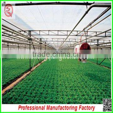 Large Muti-span Hydroponical Polycarbonate Sheet Greenhouses From China Manufacturer photo-4