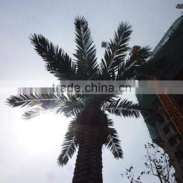 Hot Sale Artificial Palm Tree With New Design and Real Touch,indoor or Outdoor photo-3