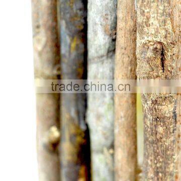 Wooden Pen Holder. Wood Branch Pen Pot, Square Wood Pen Holder photo-3