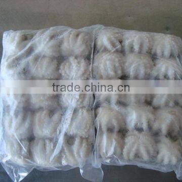 Baby Octopus/ Frozen Baby Octopus photo-4