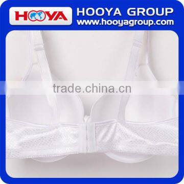 White Sexy Lace Bra Transparent Lace Bra Beautiful Bra Sexy Bra Design photo-2