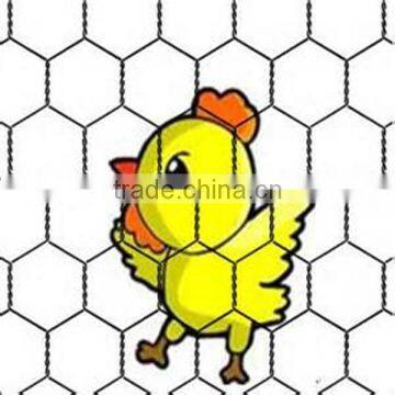 China Factry Woven Wire Mesh