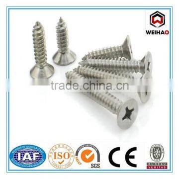 hot selling high qualiy stainless steel screw