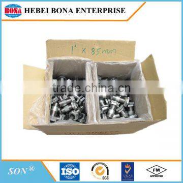 Carbon Steel Electric Galvanized Male Pipe Nipples bs en 10241