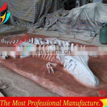 Amusement Park Dig it Out Real Size Dinosaur Excavation Fossil