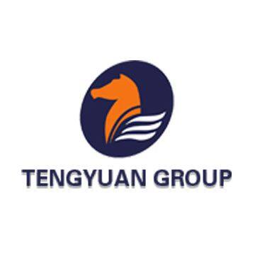 Shandong Tengyuan Building Materials Technology Co.,Ltd