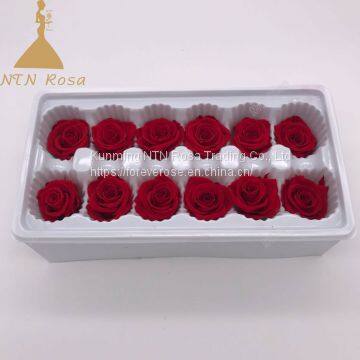 Romantic Artificial Flower Luxurious Flower Preserved Roses for Wedding Decoration