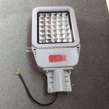 HRD9 Maintenance-free Explosion-proof LED Road Lamp High Efficiency Explosion-proof Street Lamp Pole photo-5