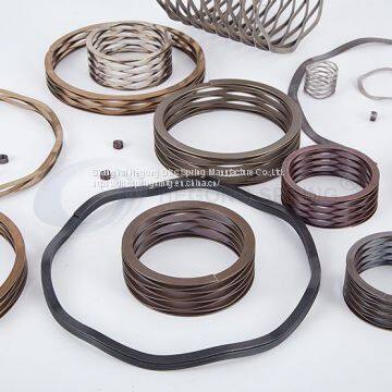 Wave Springs photo-3