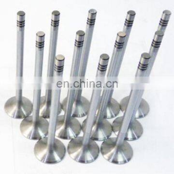 Chinese Bike Spares Parts Engine Valve for Scooter 125 Znen zn Zn125 ZN125T-22 125cc