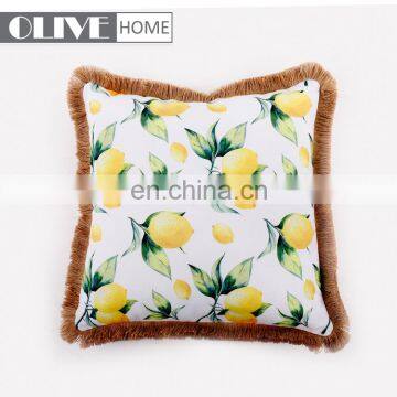2018 Hot Selling Chair Office Car Outdoor Cushion Cover Decorative Cushions With Tassels Trimmings photo-2