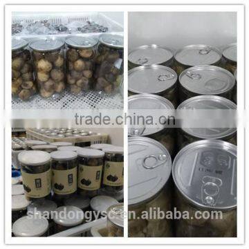Good Vegetable Product From China Black Garlic photo-3