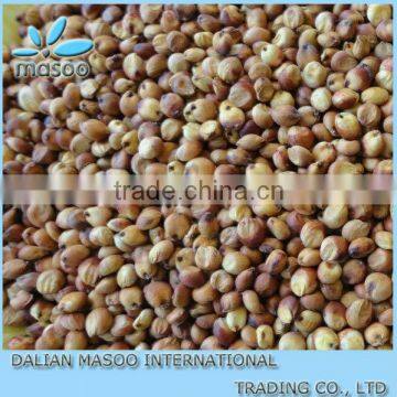 White Sorghum Seeds