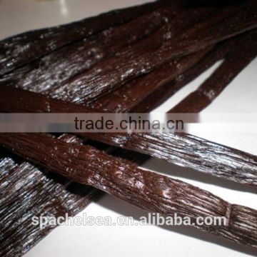 wholesale best price top quality madasgascar Vanilla Bean