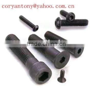 Titanium hexagon socketed flat head bolt