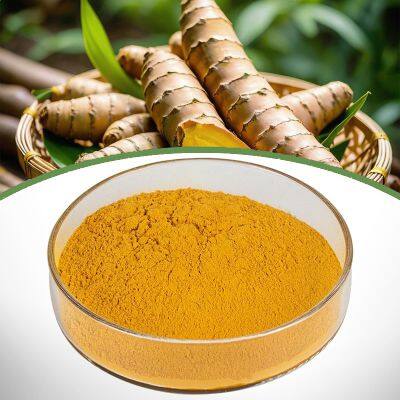 Turmeric Extract
