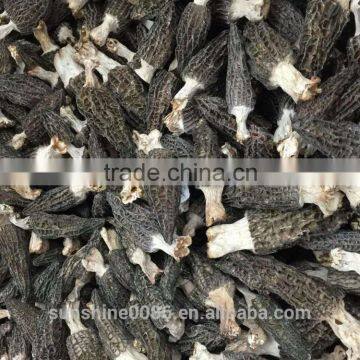 High Quality Dried Wild Morchella/Morel Mushroom From Yunnan China photo-3