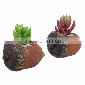 Nature Inspired Acorn Windowsill Planter Decorative Small Succulent Plant Pot Garden Art