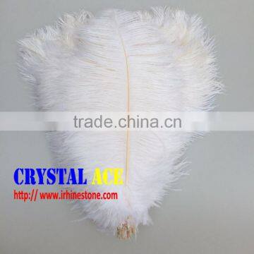 Special Sale OSTRICH Feathers , high quality snow white natural ostrich feathers plumage for home decor