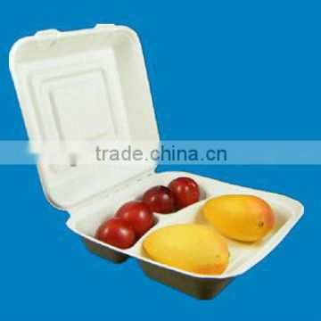 Christmas Kitchen Dinner Biodegadable disposable green Sandwich Box With Cavity