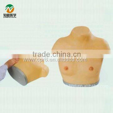 BIX-F7B senior breast inspection and palpation model