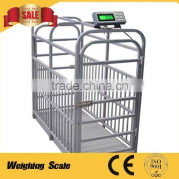5T Large-scale Automatic Poultry Farm Design for Sale photo-5