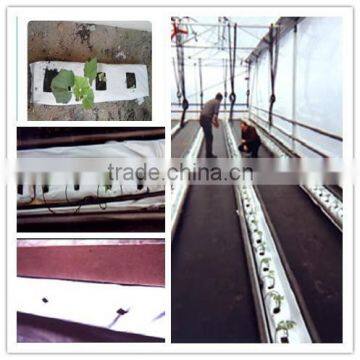 Greenhouse coco peat plastic slab grow bags