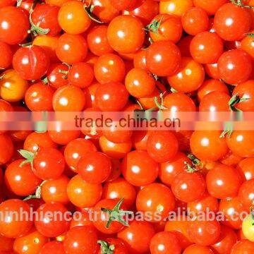 Pickled Tomatoes in 1500ml Glass Jar and 720ml Glass Jar.