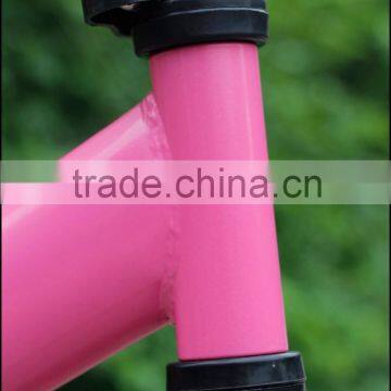 Hottest Selling Electric Brake Lever Custome Frame Balance Bike photo-4