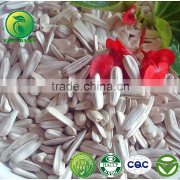 Chinese White Sunflower Seed In Shell For Sell At The Best Price!