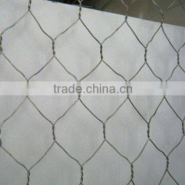 Pvc Chicken Coop Galvanized Wire Mesh photo-2