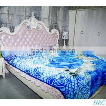 Hot Selling New Design 100 % Polyester Korean Style2Ply Mink Blanket