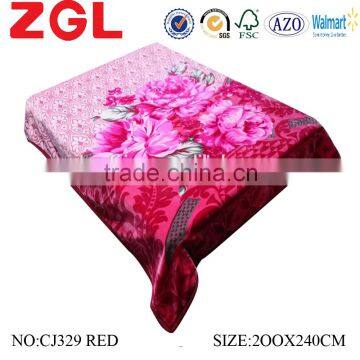 2015 NEW DESIGNS 1ply&2ply high quality hot printed raschel korean style blanket NO.CJ329