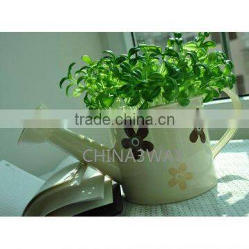 Circular Tinplate Watering Can / Planter Shower /Watering Pot