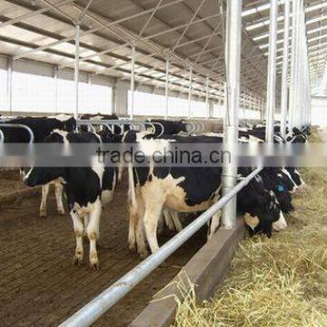 solar mounting system galvanized steel structure for agricultural and farm