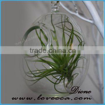 Made in China glass jewelry decorative clear galss balls, handing plant terrarium