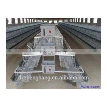 stainless steel bird cage wire mesh/poultry farming equipment/ cage with high quality