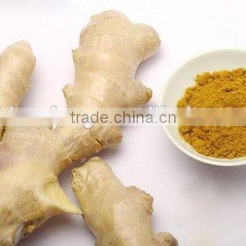 Organic ginger powder