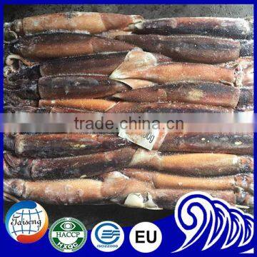 100-150g 150-200g frozen Illex Squid