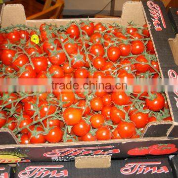 cherry tomato