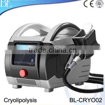 Professional Vacuum Cryolipolysis Fat Removal/Cavitation Cryolipolysis 8.4