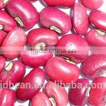 Crop 2014 new crop Red cowpea beans / red cowpeas