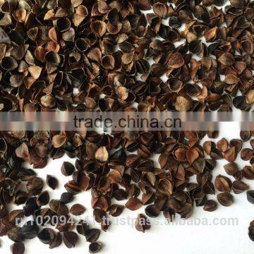 Organic Buckwheat Hull photo-2